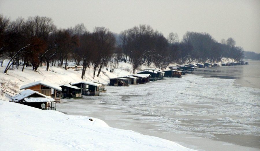 Zale�ena Sava 2012